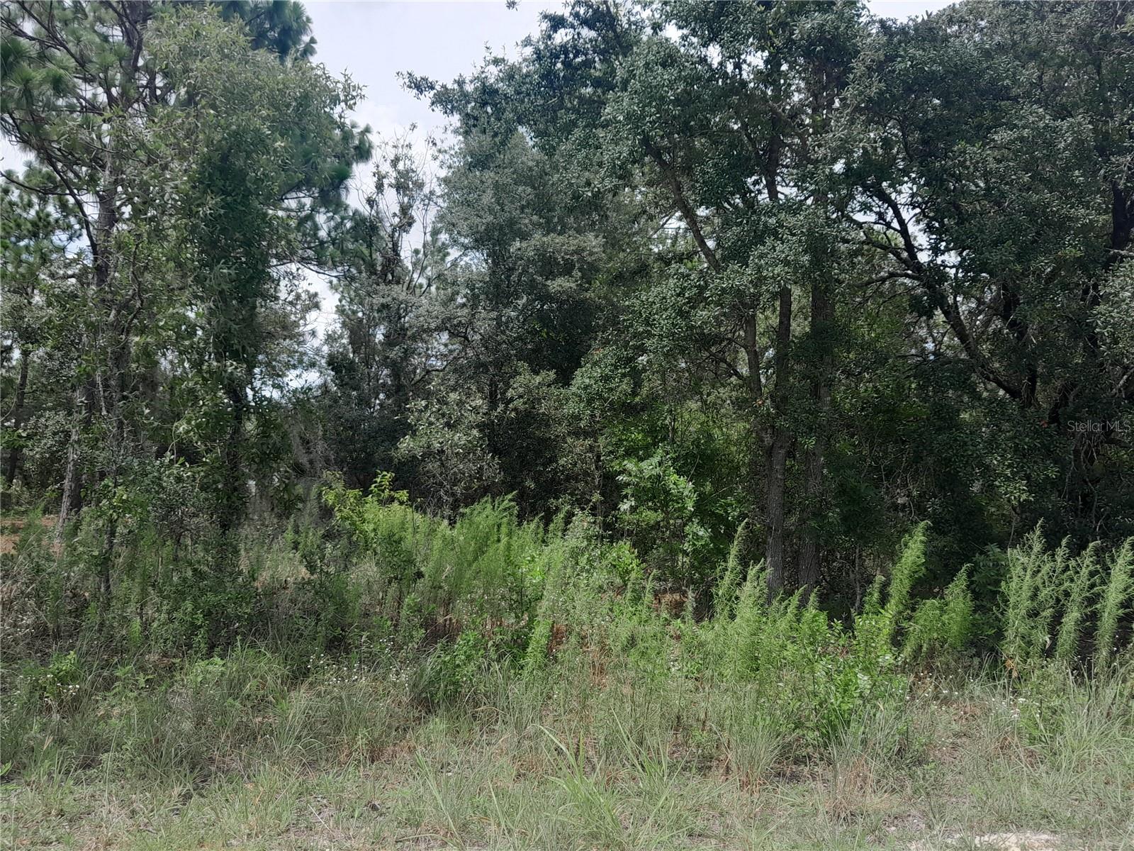 REPLAT WILLISTON HIGHLANDS UNIT 5 - Land