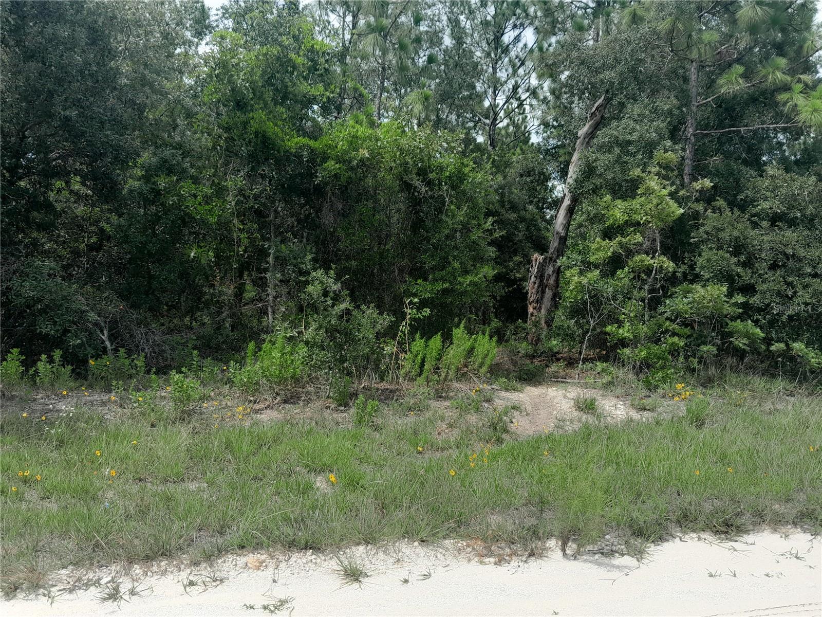 REPLAT WILLISTON HIGHLANDS UNIT 5 - Land