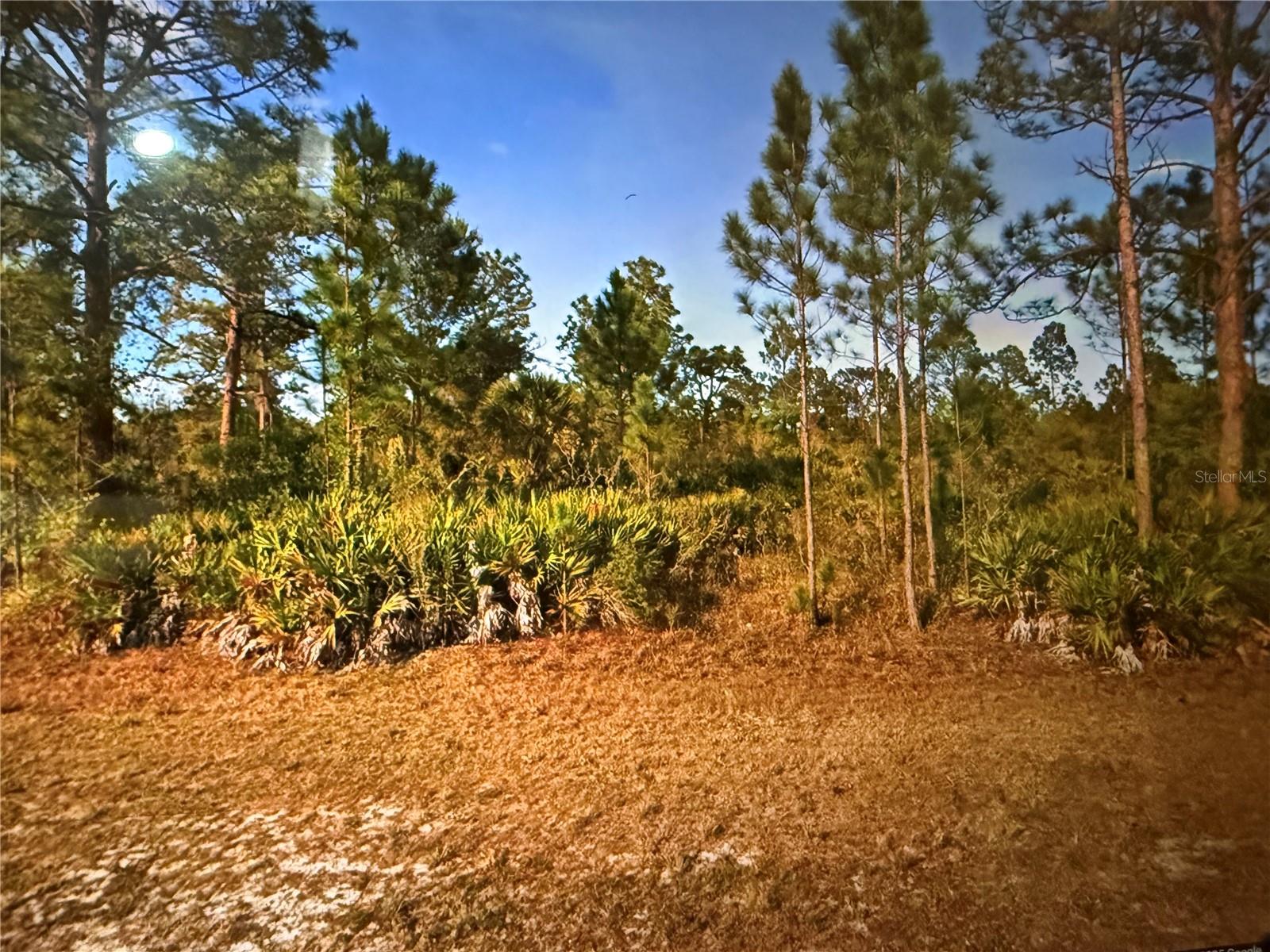 Ready to build lot in East Lake Wales area.