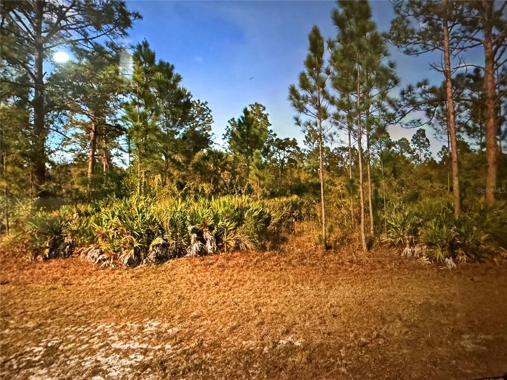 Photo of 604 Orchid Drive, Indian Lake Estates, FL 33855 (MLS # P4935529)