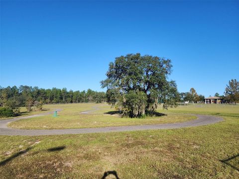 A home in DUNNELLON