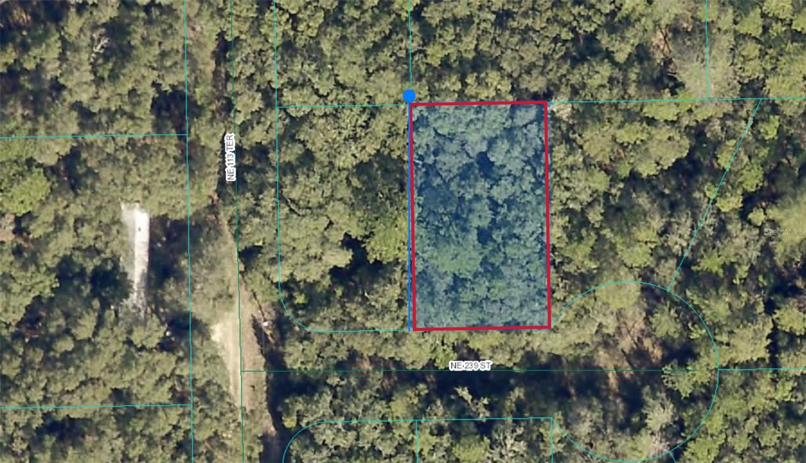 This beautiful piece of nature is located in Lake View Manor with flexible zoning you can build a mobile home or a site-built home. An easy drive to Ocala, Silver Springs and Gainesville.