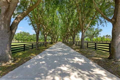 Tiny photo for 9751 Quiet Lane, Winter Garden, FL 34787 (MLS # O6389101)