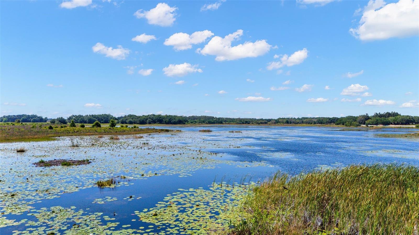 ACREAGE & UNREC - Residential