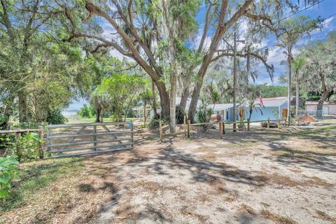 Tiny photo for 13450 SE 105th Terrace, Ocklawaha, FL 32179 (MLS # G5111757)