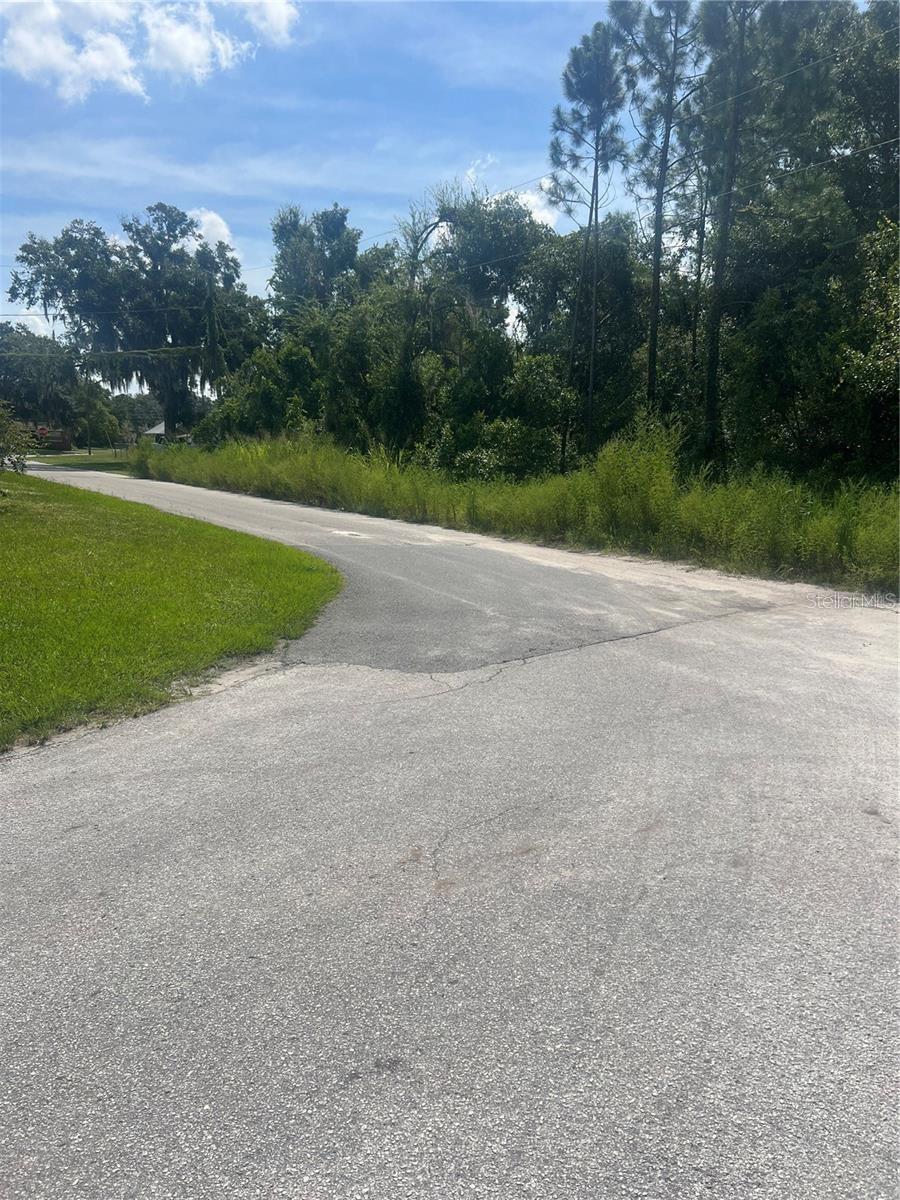 EUSTIS LAKE EUSTIS PLACE - Land