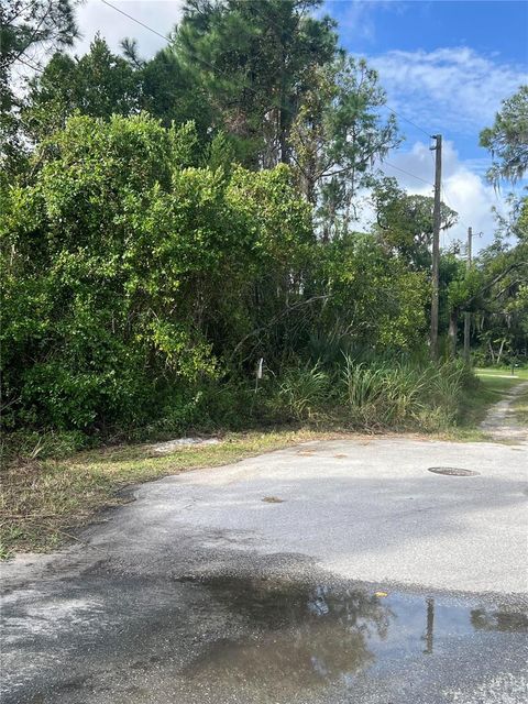 HERRICK AVENUE EUSTIS FL 32726