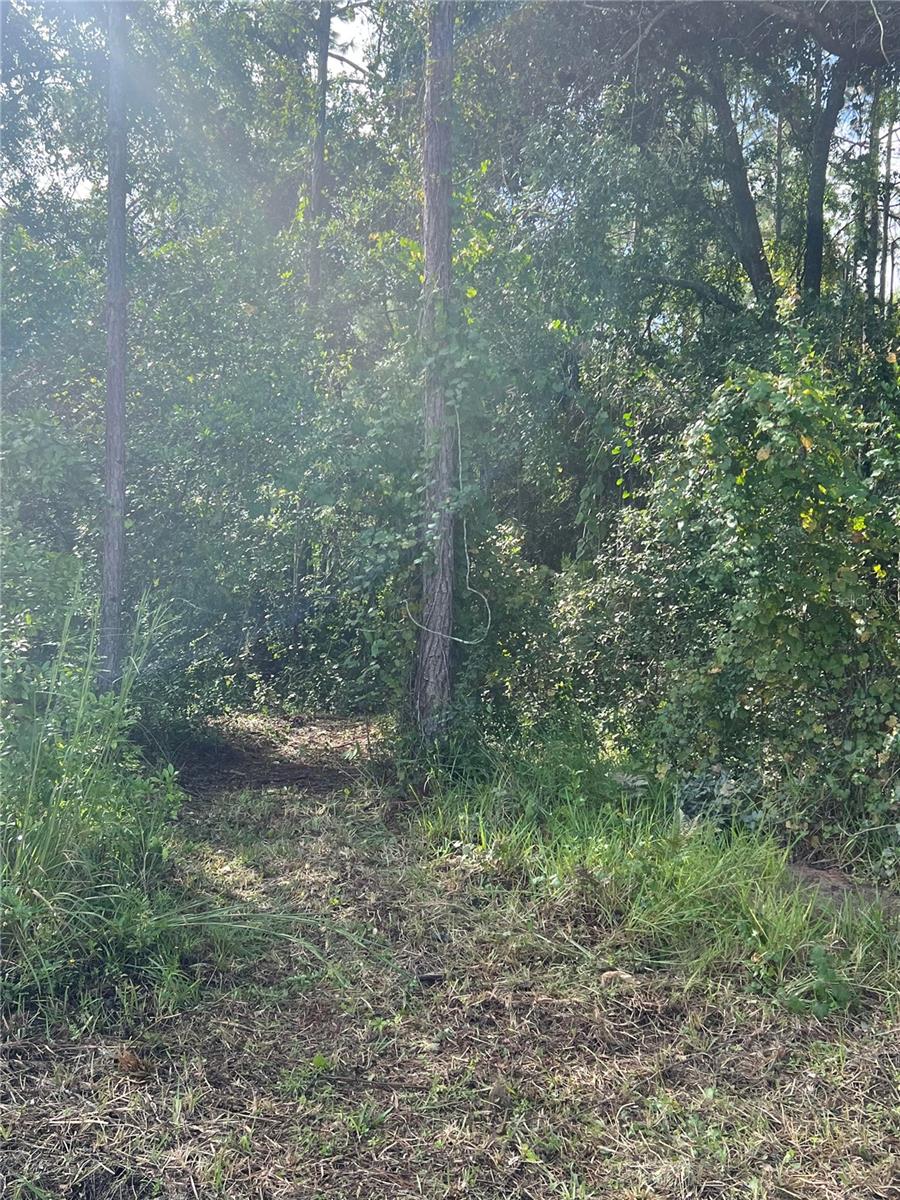 EUSTIS LAKE EUSTIS PLACE - Land