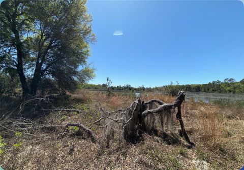 Tiny photo for 9844 Poe Street, Leesburg, FL 34788 (MLS # G5110426)