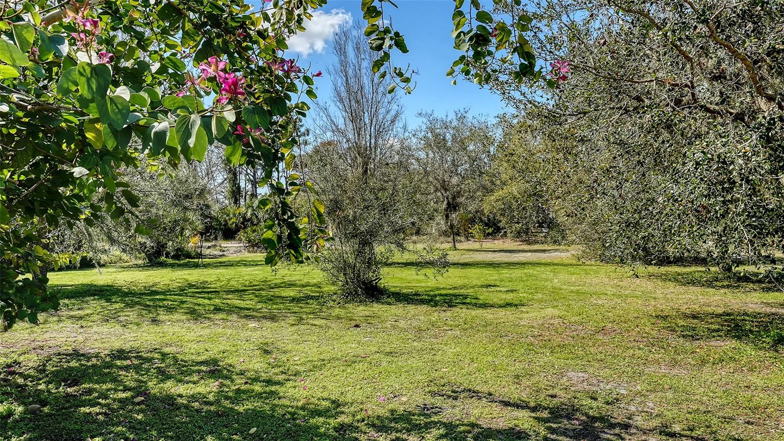 SADDLE CREEK - Residential