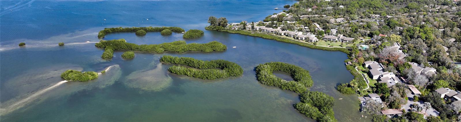PELICAN COVE I - Residential Lease