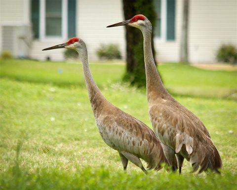 A home in DUNNELLON