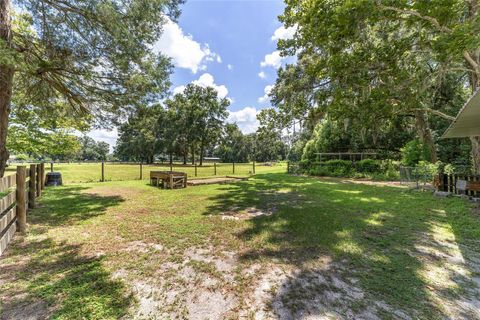 Tiny photo for 3200 NE 97th Street Road, Anthony, FL 32617 (MLS # OM708251)