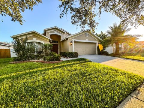 A home in VALRICO