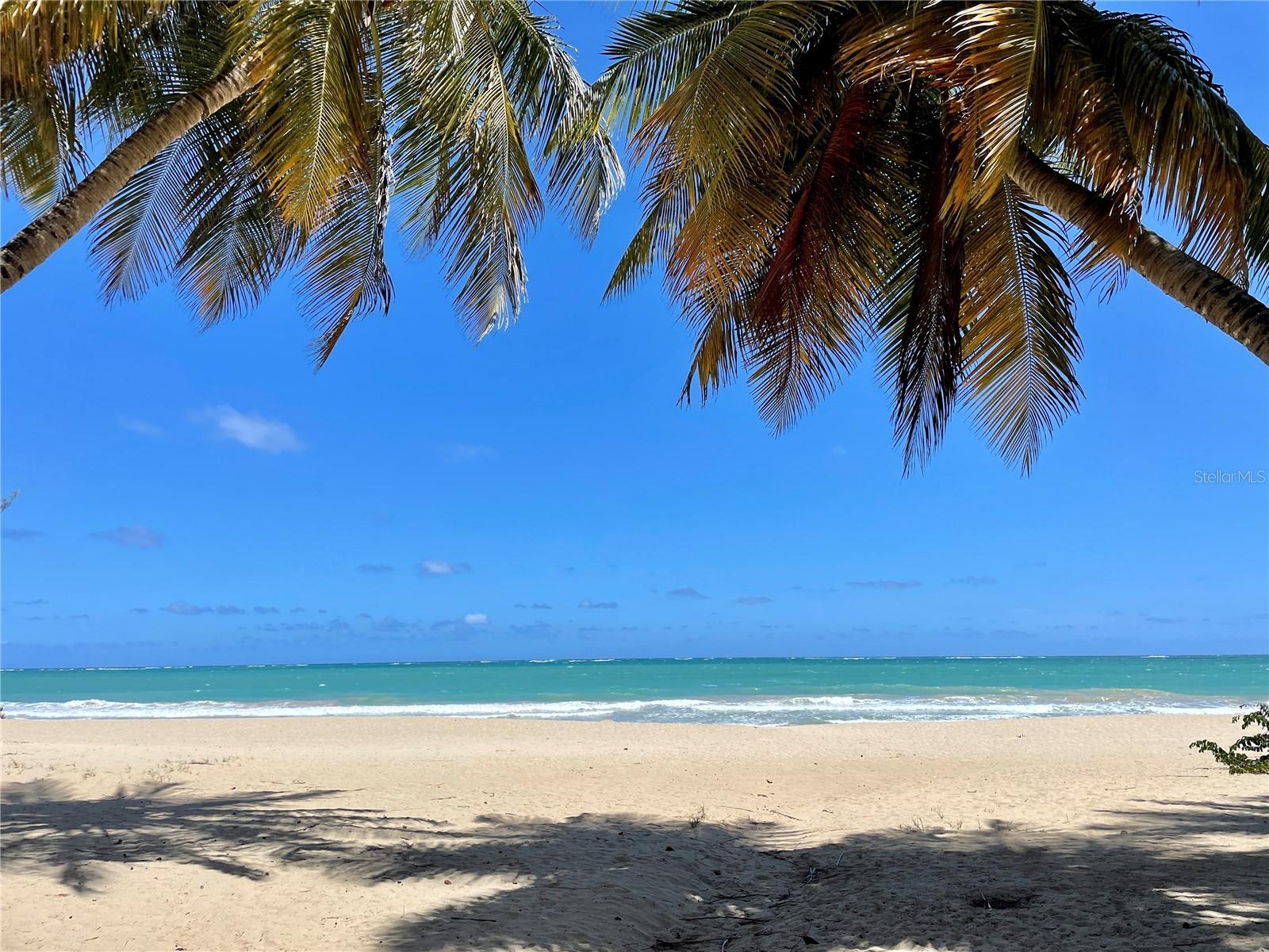 PLAZA ATLANTICO - Residential