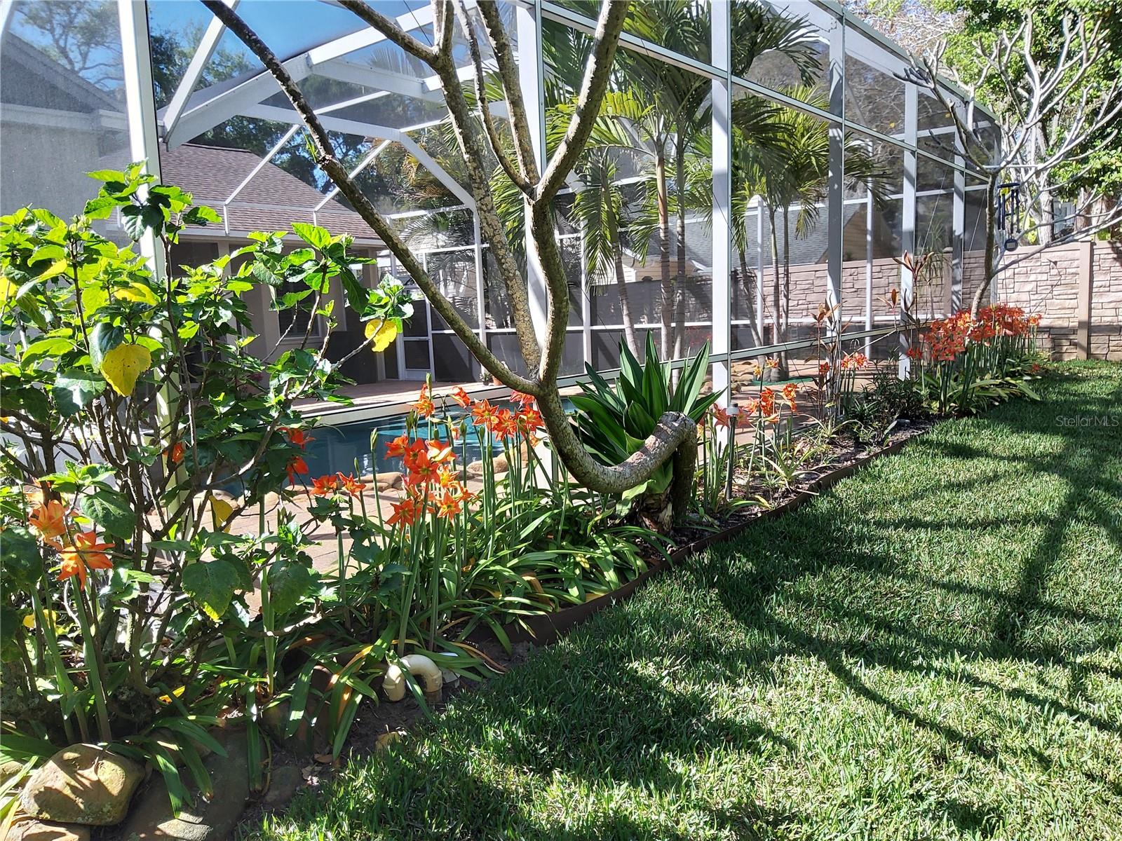 SAGE OAKS - Residential