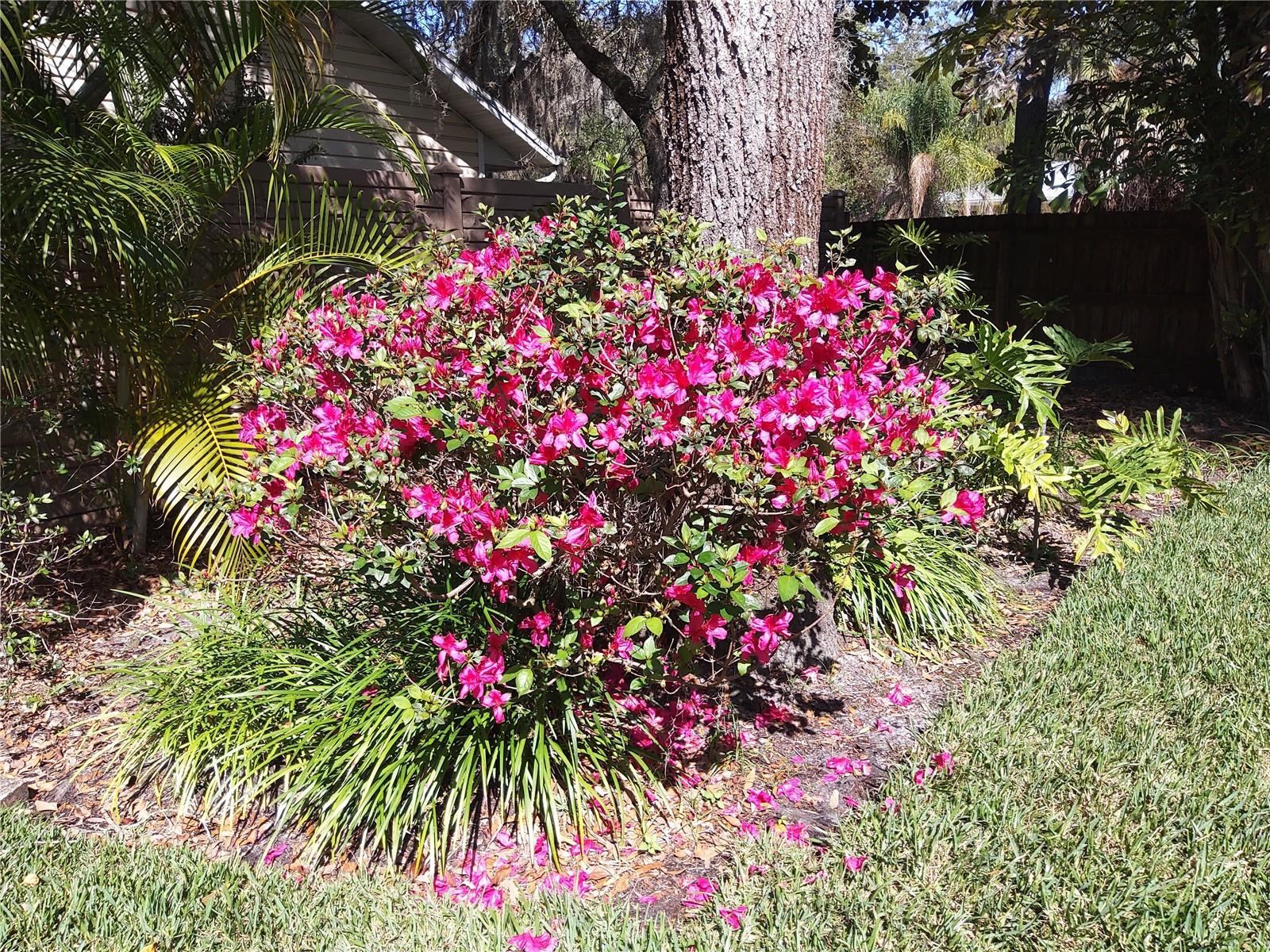 SAGE OAKS - Residential