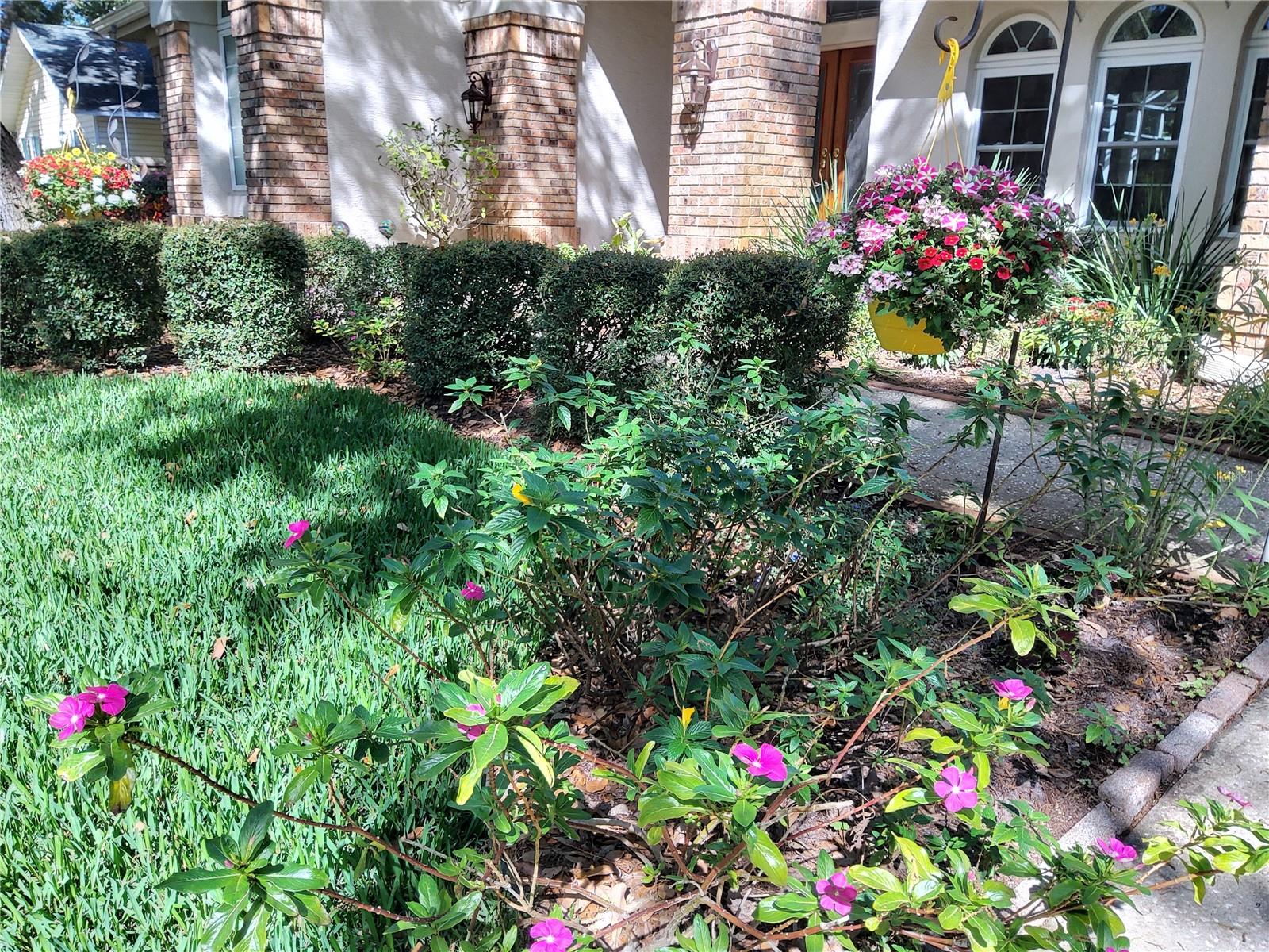 SAGE OAKS - Residential