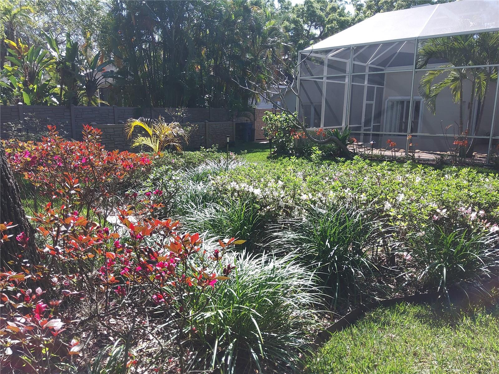 SAGE OAKS - Residential