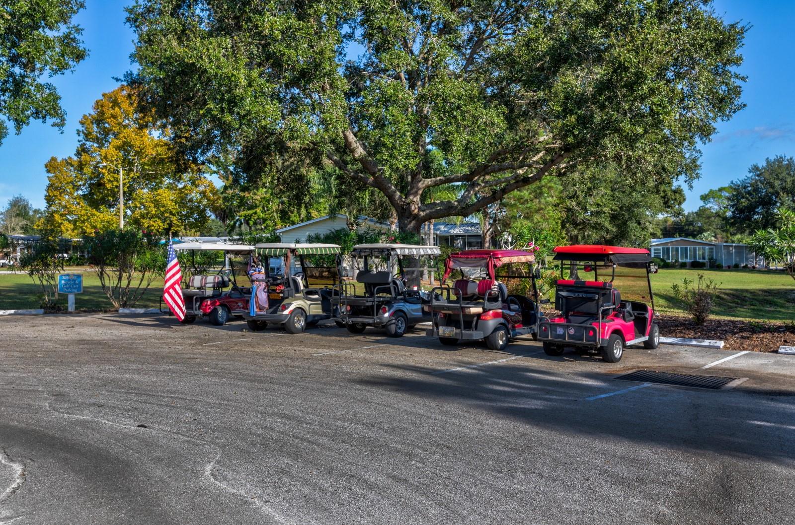 HOLIDAY LAKES SUB - Residential