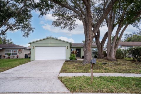 11249 LONGHILL DRIVE N PINELLAS PARK FL 33782