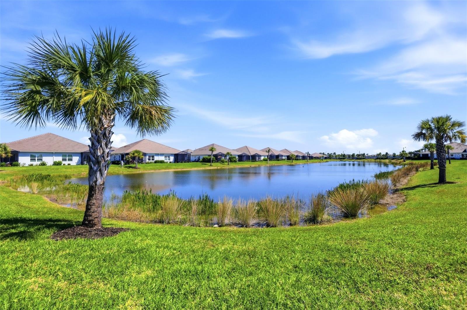 WYSTERIA-WELLEN PARK VILLAGE F-4 - Residential