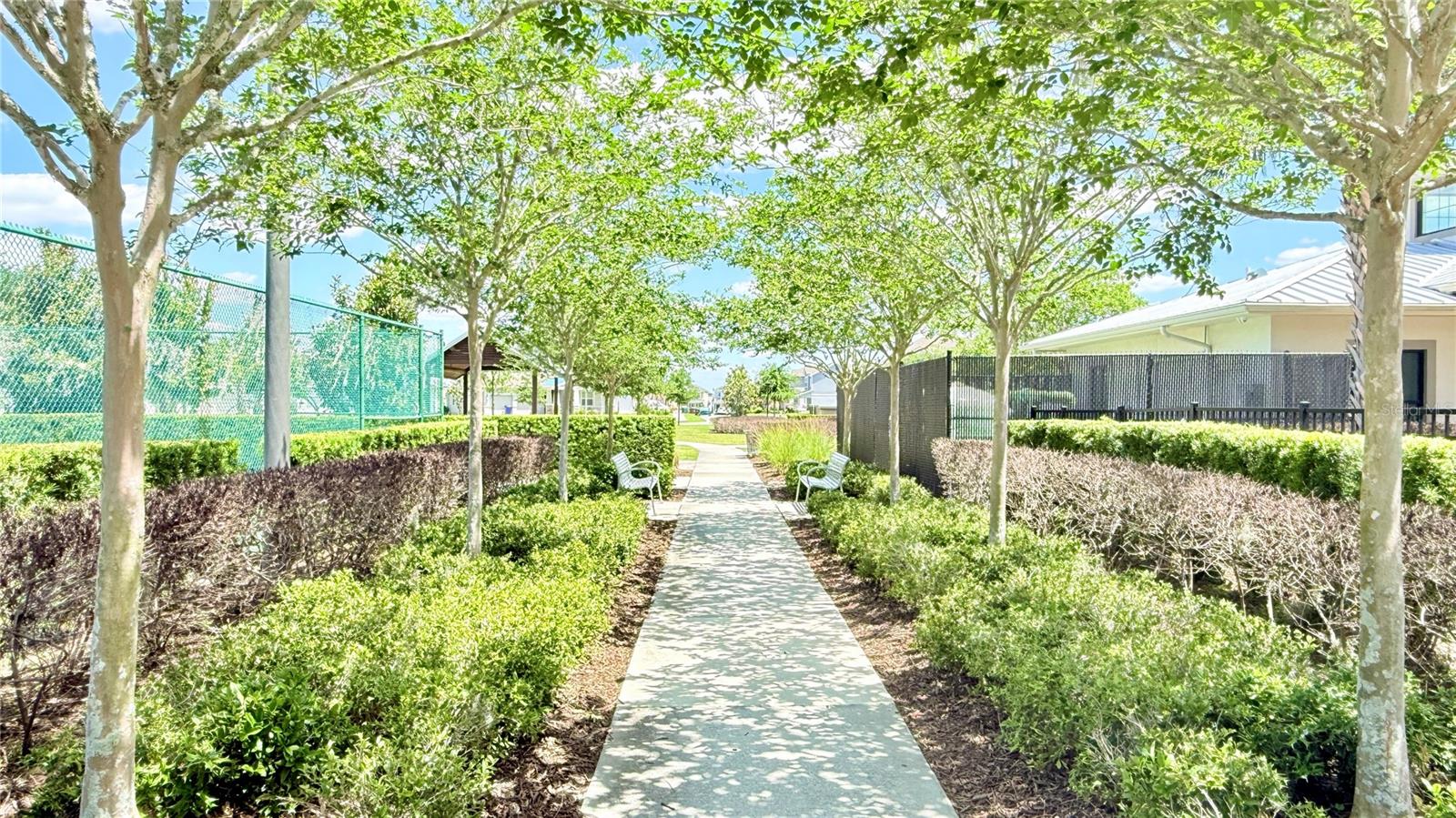 TOHOQUA PH 7 - Residential