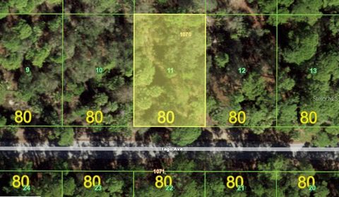 17452 IAGO AVENUE PORT CHARLOTTE FL 33954