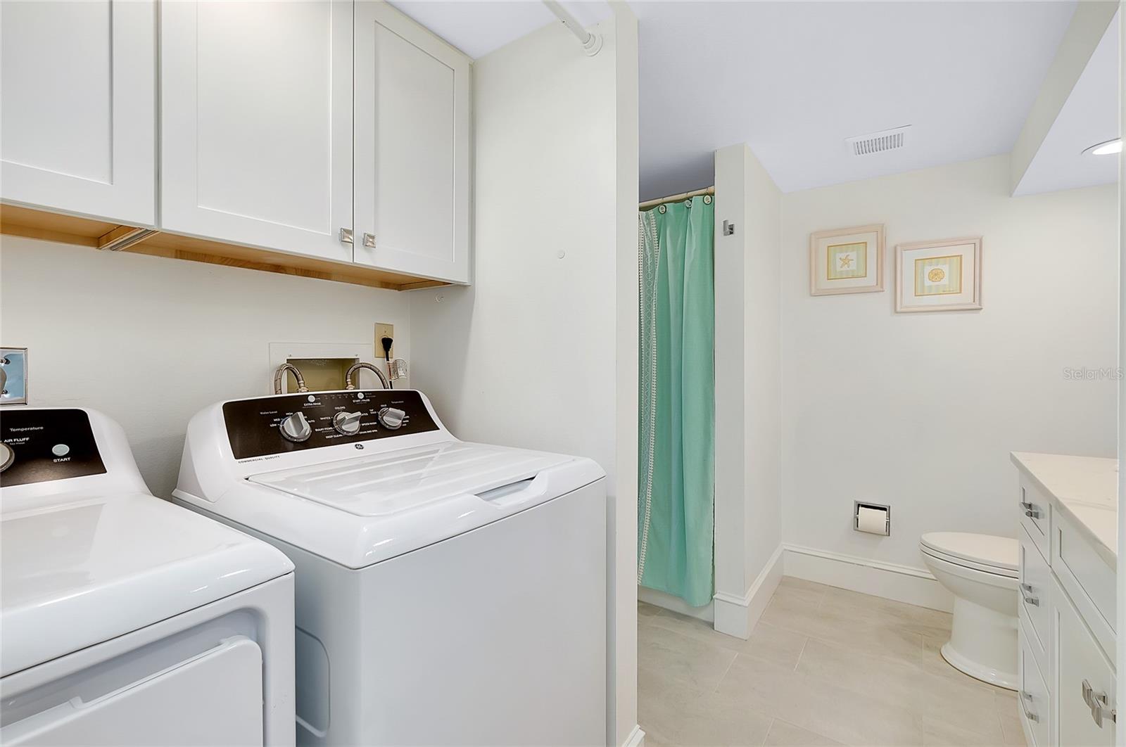 FARMINGTON VISTAS - Residential