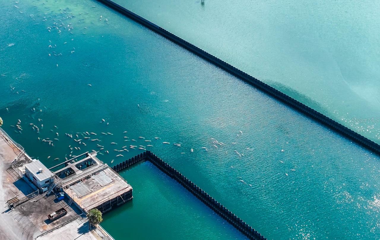 APOLLO BEACH UNIT FOUR - Residential