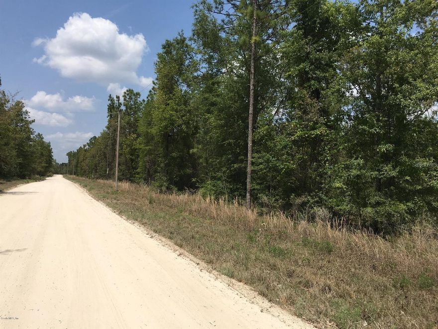 ROLLING ACRES 3.04 WOODED ACRES – BUILD YOUR FLORIDA COUNTRY DREAM! Escape to the peace and privacy of country living with this beautiful 3.04 acre homesite in the desirable Rolling Acres community. Tucked just off a paved road, this wooded parcel offers scenic natural views, mature trees, and the perfect setting to build your dream home or place a manufactured home. With no HOA, no flood zone, and public road access, you have the freedom and flexibility to create the lifestyle you’ve been looking for.

Bring your horses, outdoor toys, or simply enjoy the serenity of rural living with the added bonus of being convenient to the Goethe State Forest riding trails, a true haven for horseback riders and nature lovers. Whether you envision a custom site-built home, a manufactured home, or a private weekend retreat, this property offers endless possibilities.

Ideally located for an easy drive to Gainesville and Ocala for work, shopping, dining, and medical services, while still enjoying the charm and quiet of Levy County. Rarely do small acreage parcels with this combination of location, flexibility, and natural beauty come available. Don’t miss this opportunity to make this your forever homesite.