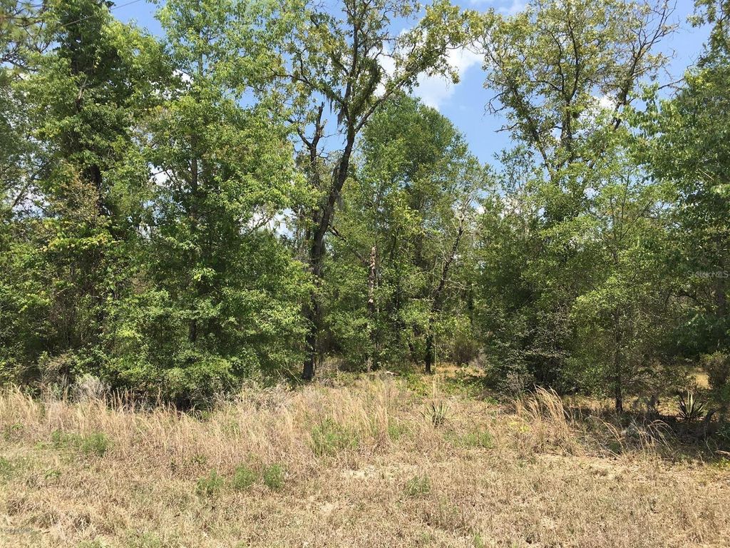 Photo of 7231 NE 136th Avenue, Williston, FL 32696 (MLS # OM723159)