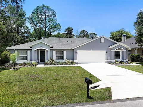 217 BIRCHWOOD DRIVE PALM COAST FL 32137