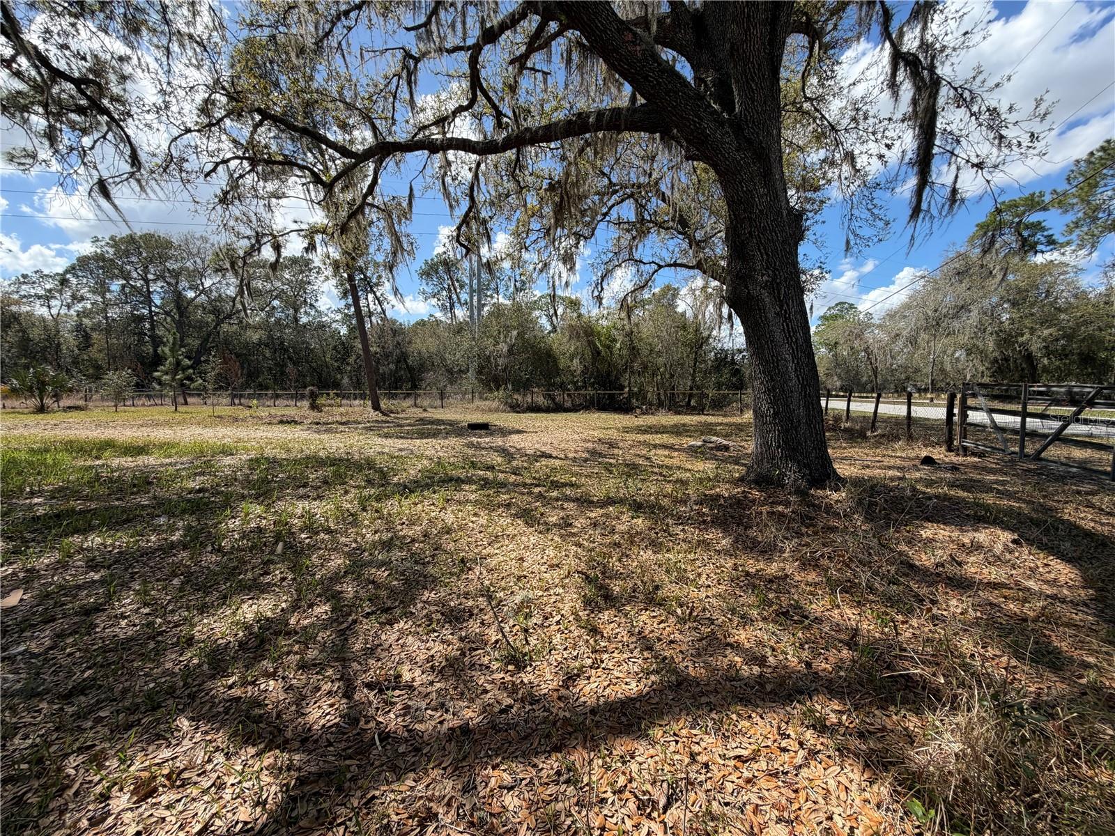 WEBSTER & OMOHUNDRO SUB - Residential