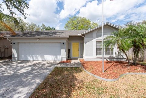 2604 SHILO COURT VALRICO FL 33596