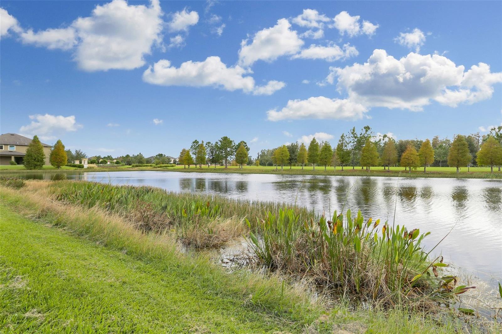 19426 WHISPERING BROOK DRIVE