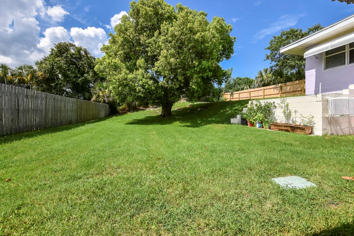 Pato Manor - Residential