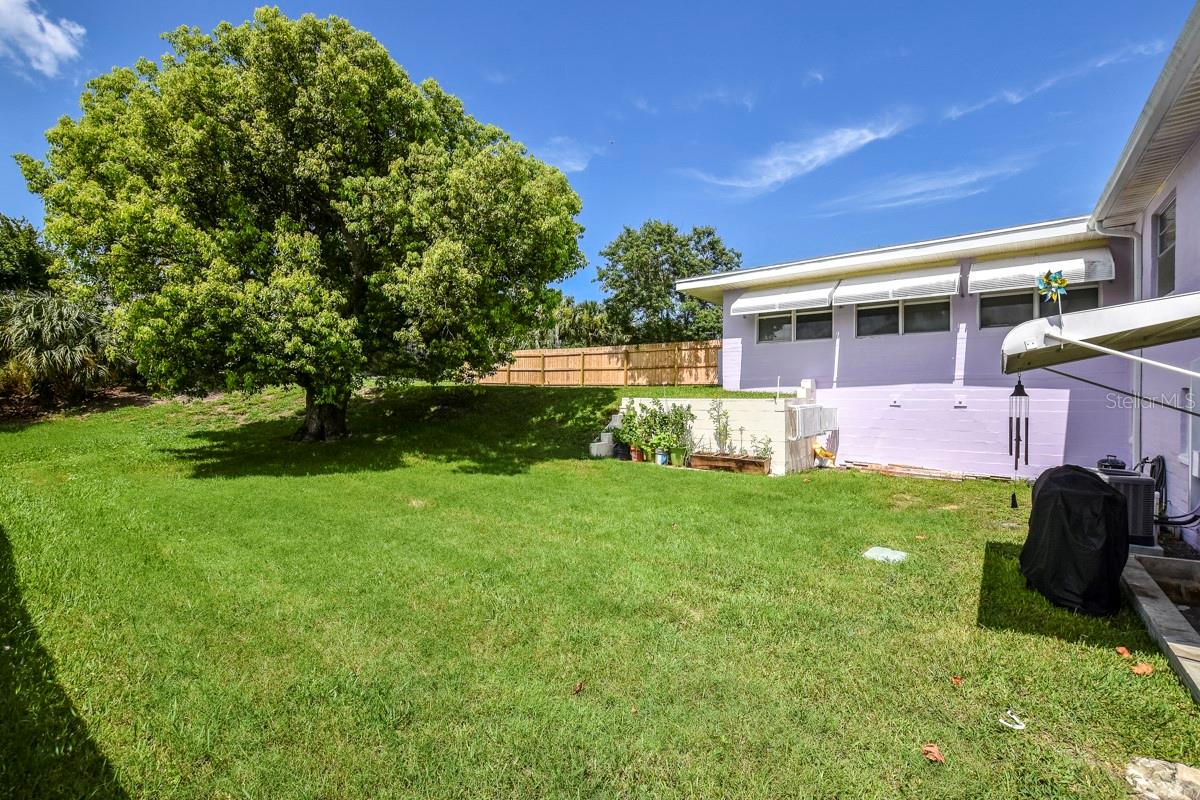 Pato Manor - Residential