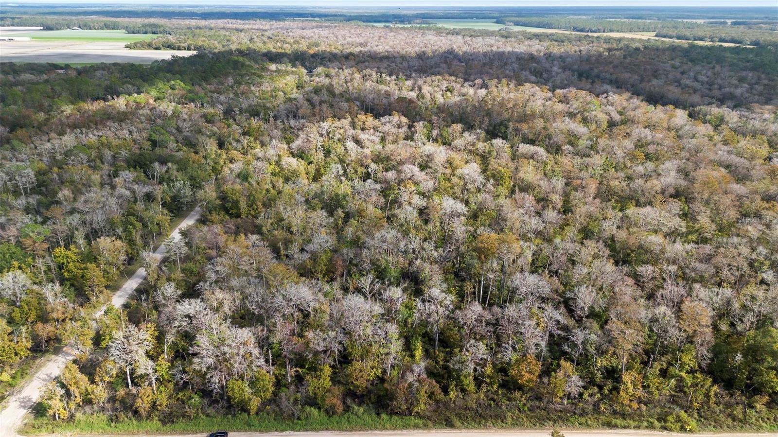 DAYTONA NORTH SUB - Land