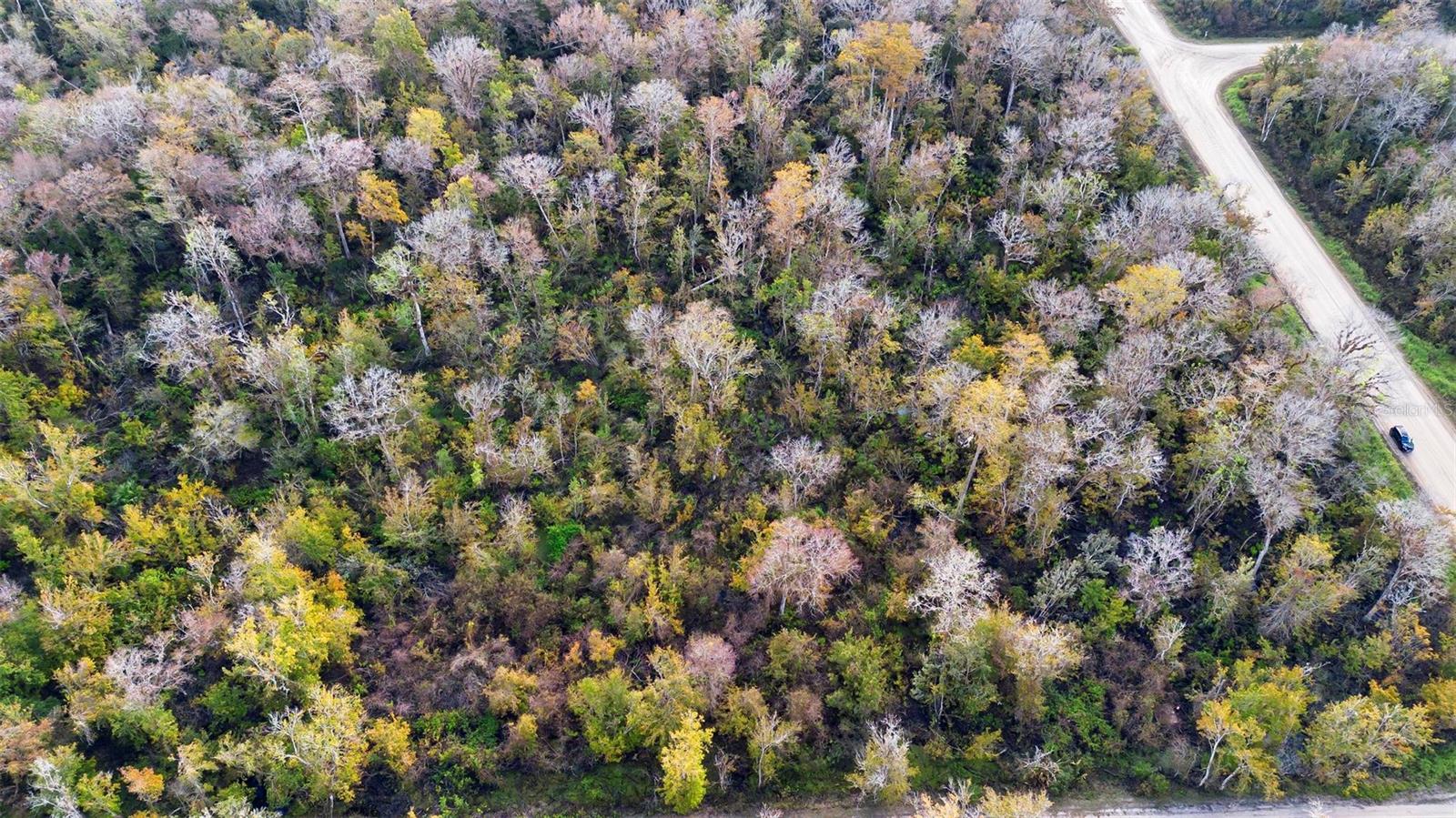 DAYTONA NORTH SUB - Land