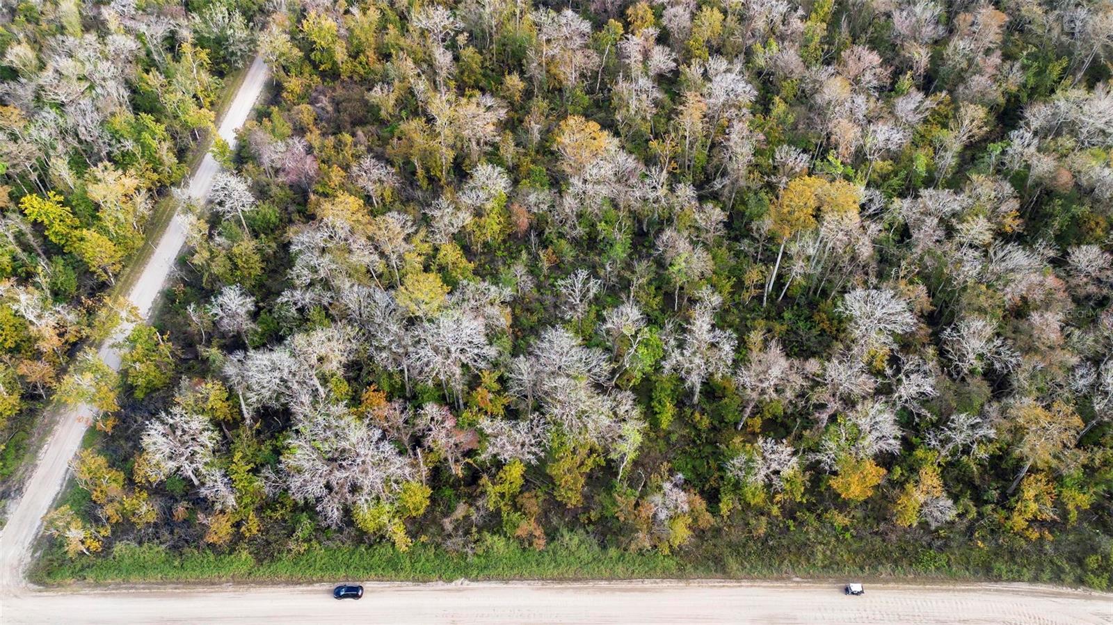 DAYTONA NORTH SUB - Land