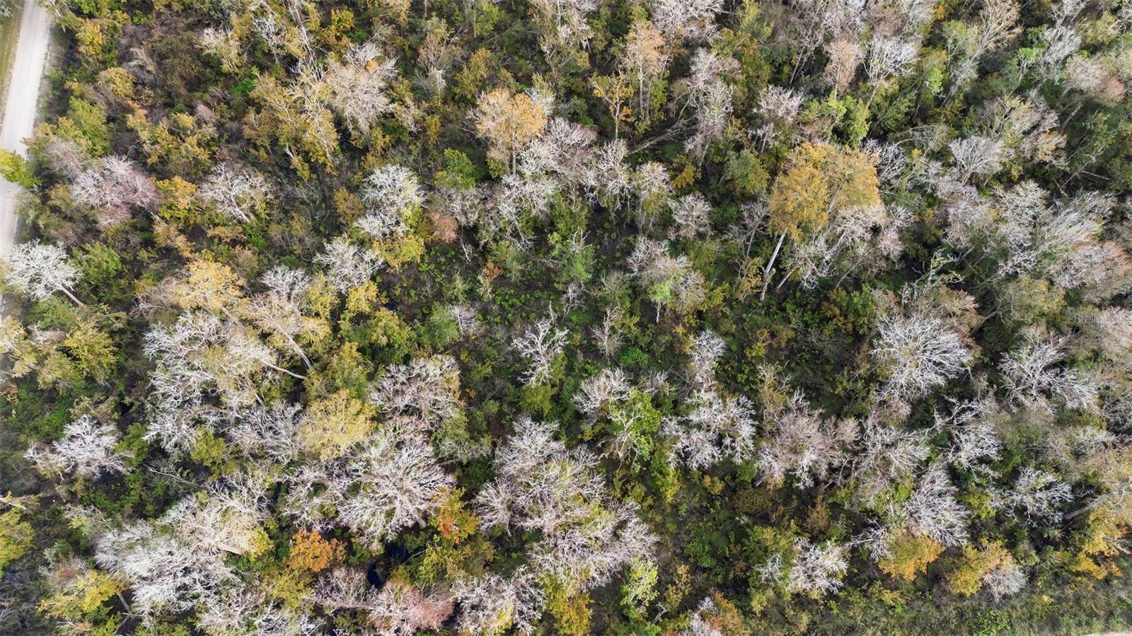 DAYTONA NORTH SUB - Land