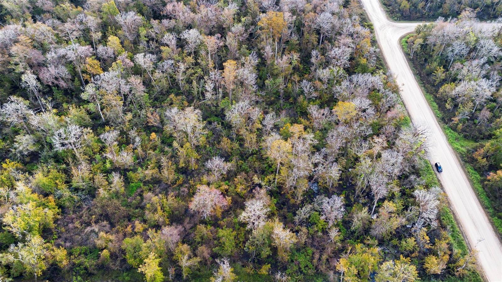 DAYTONA NORTH SUB - Land