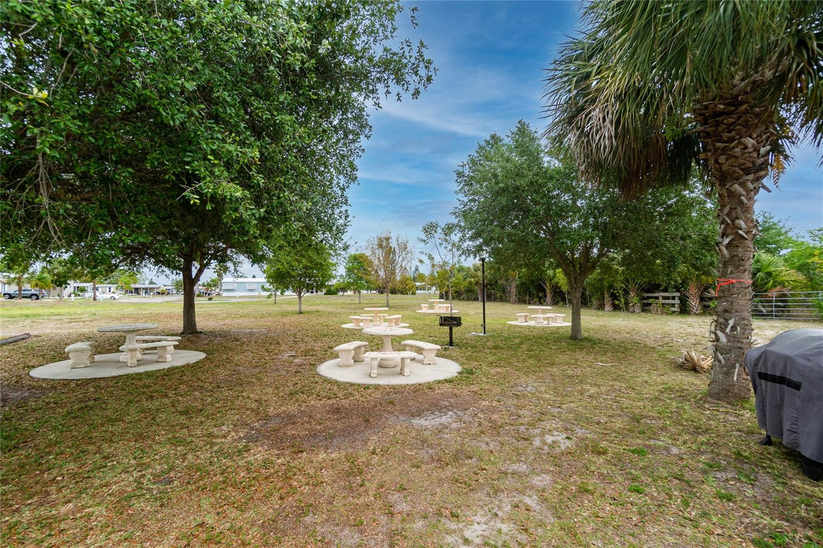 VILLAGE OF HOLIDAY LAKE - Residential