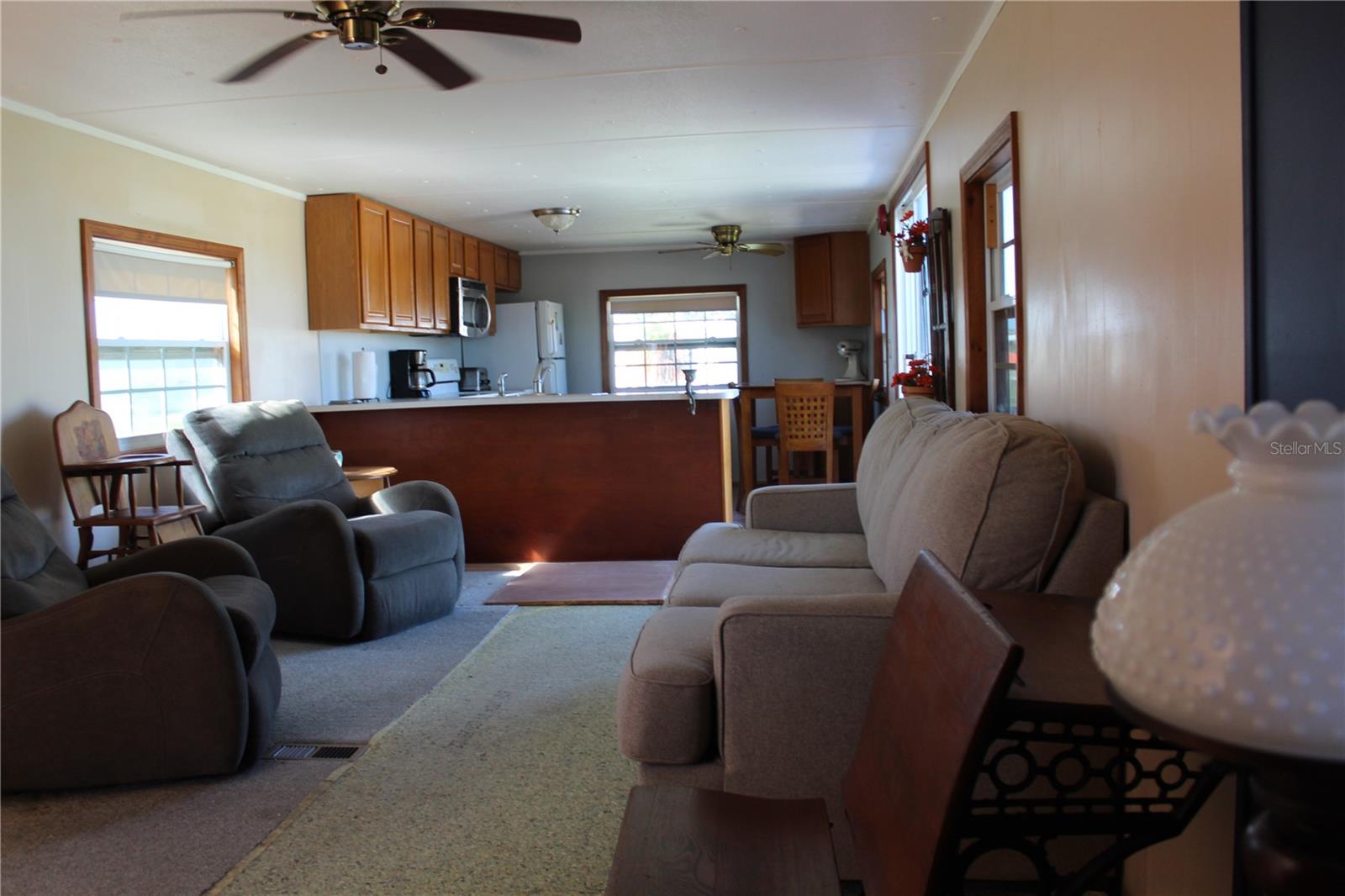 VILLAGE OF HOLIDAY LAKE - Residential