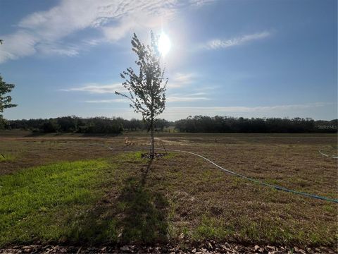 Tiny photo for 2324 Juniper Berry Drive, Minneola, FL 34715 (MLS # G5099155)