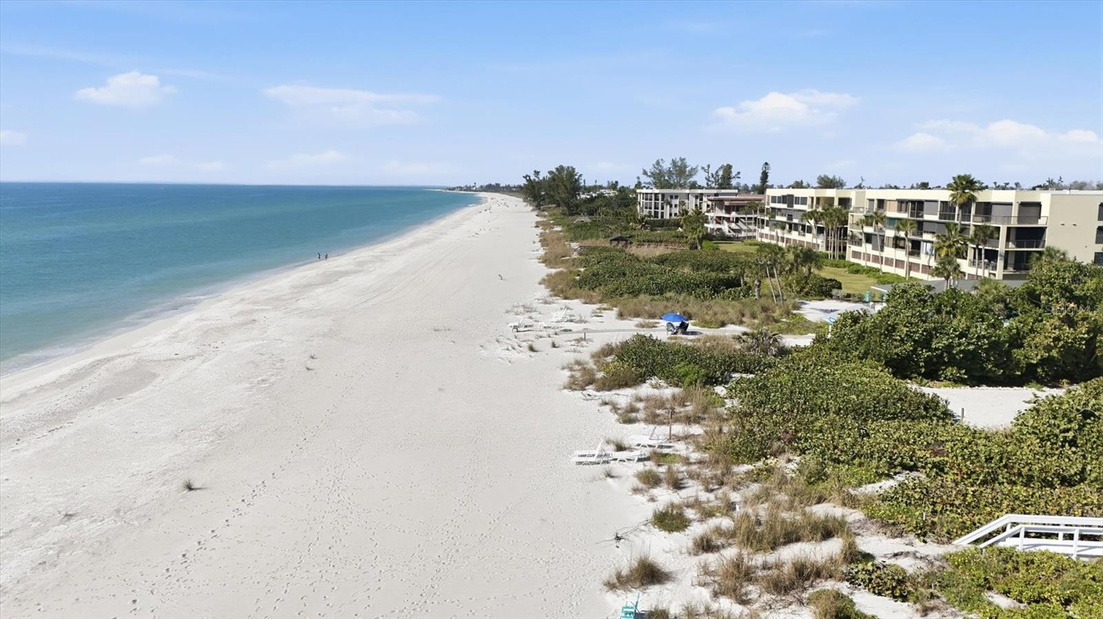 LONGBOAT TERRACE - Residential