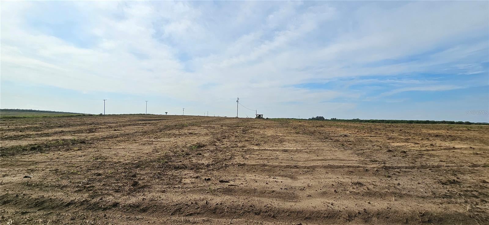 GOLDEN BOUGH ROAD