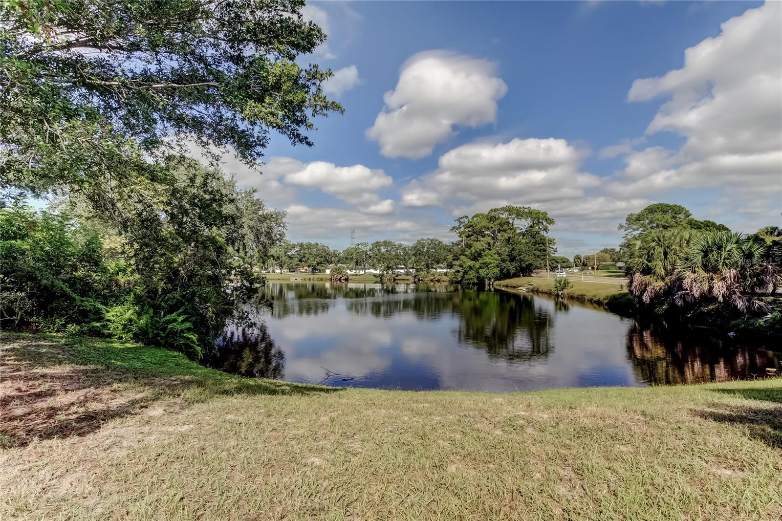 CLUBHOUSE ESTATES OF COUNTRYSIDE - Residential Lease