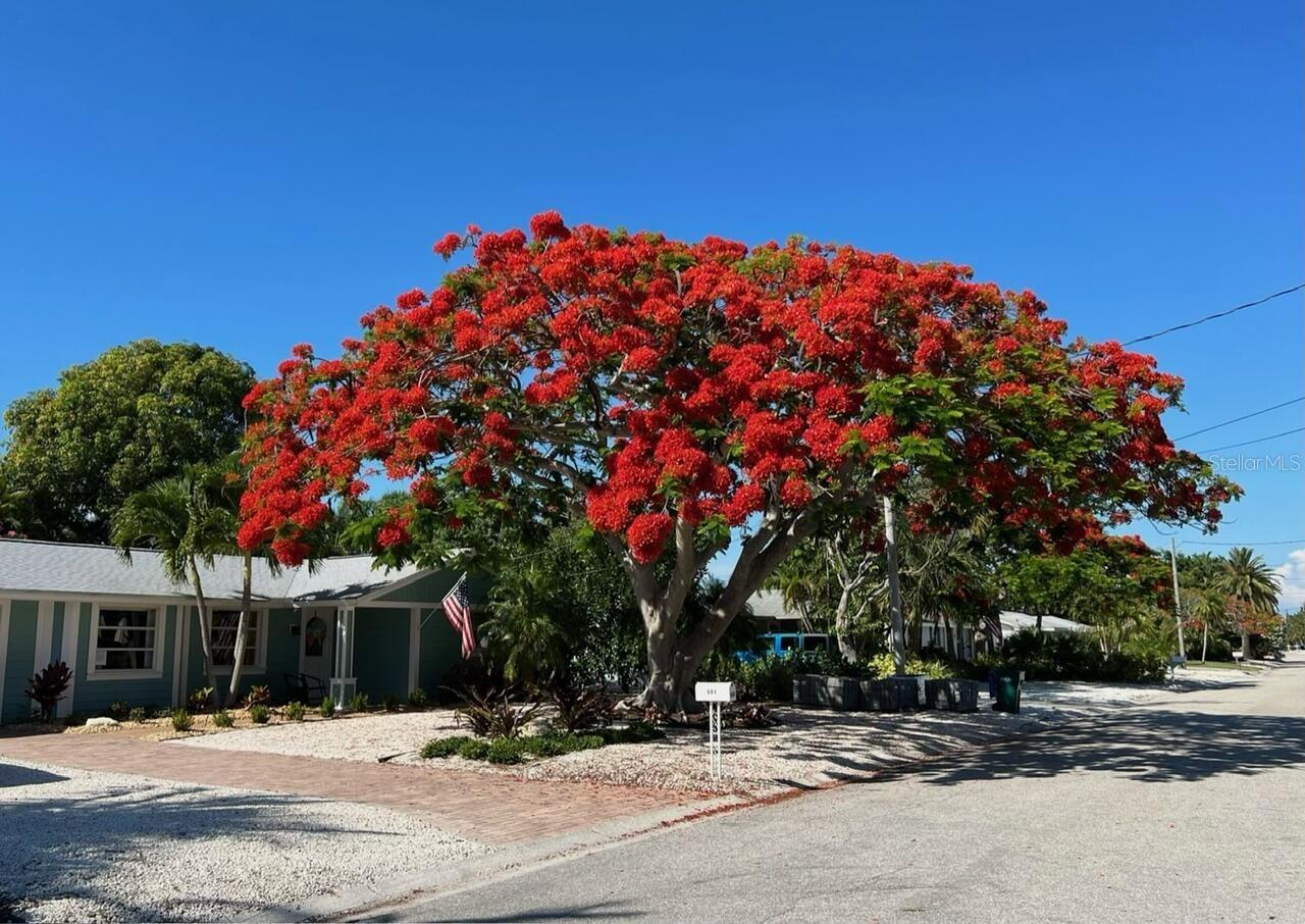 BAY PALMS ADD - Residential